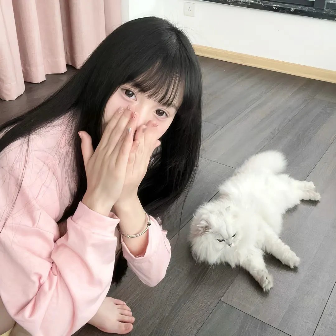 庞克电影在线观看