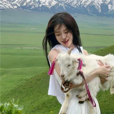 寡妇春情在线观看