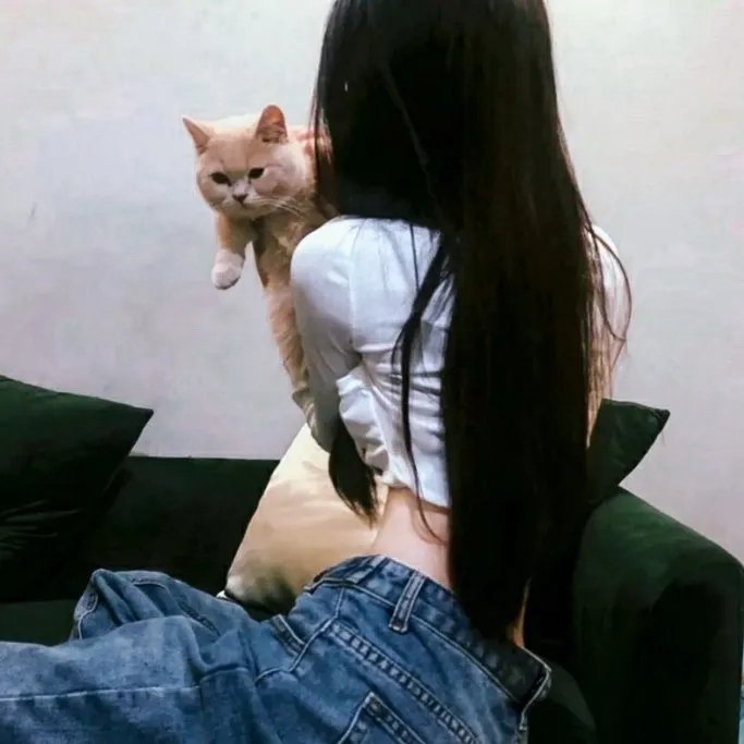 奔流犬：先生归来在线观看